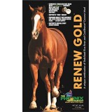 Renew Gold™ Equine Supplement